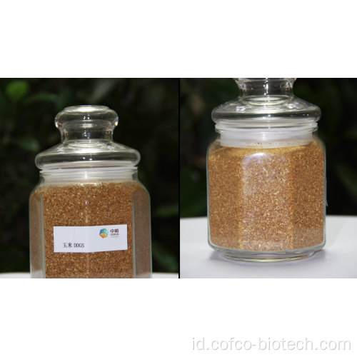 MSDS pakan gluten jagung